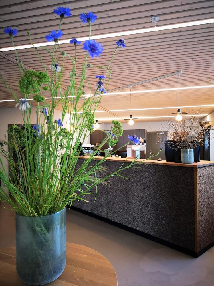 Fredensborg Badehotel Rønne Exteriér fotografie